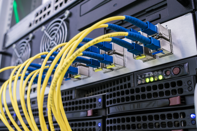 Networking & Infrastructure
